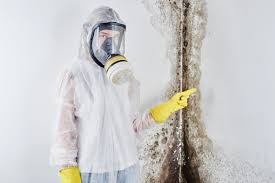 Best Mold Odor Removal Services  in Martins Additions, MD